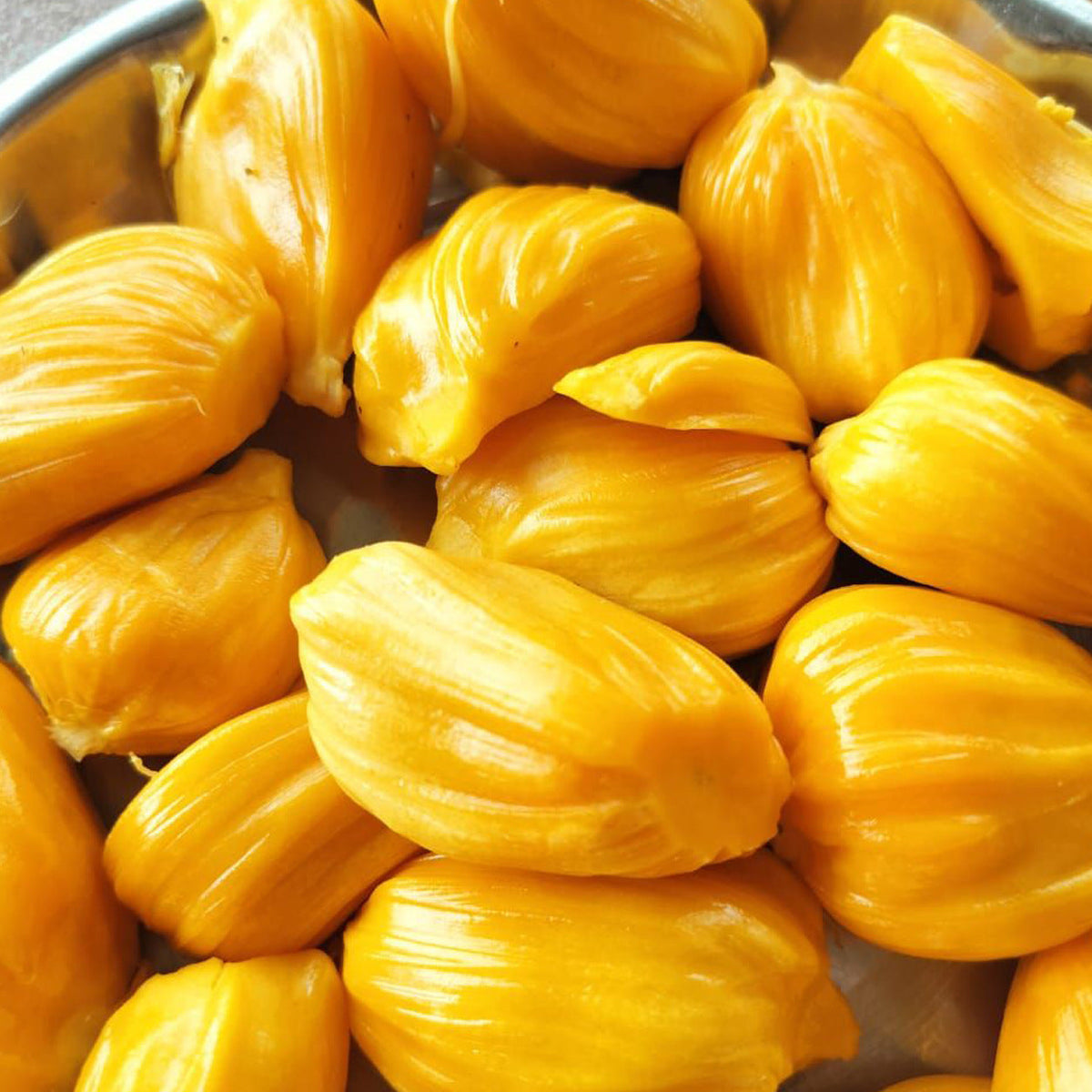 Jackfruit tree with ripe tropical fruits growing naturally in a home garden