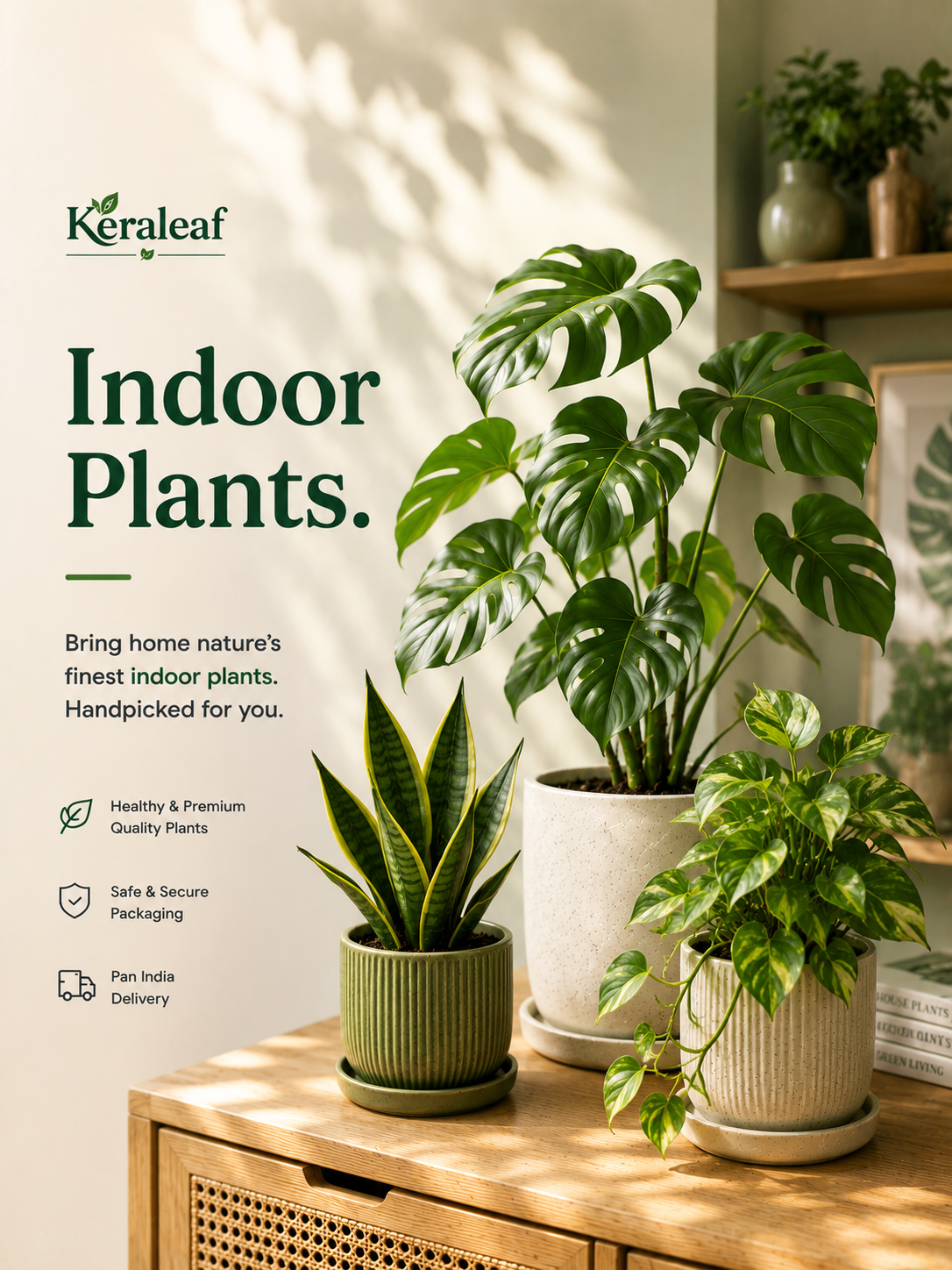 Indoor Plants