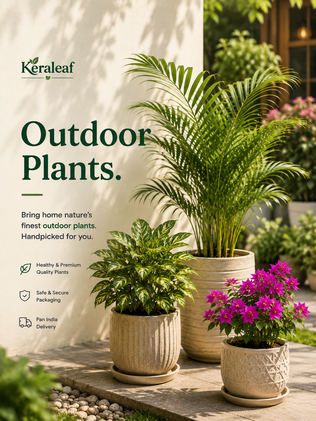 Outdoor Plants