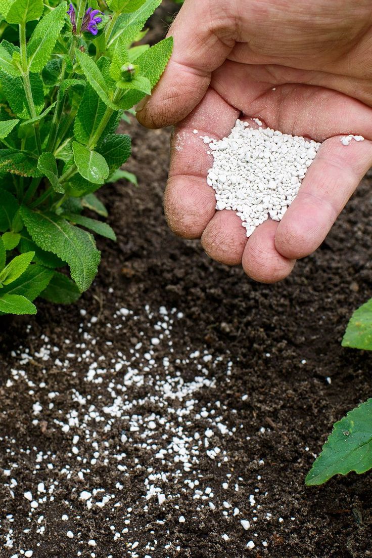 Fertilizers & Soil
