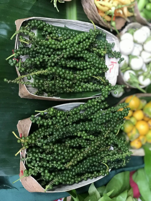 Spice Plants