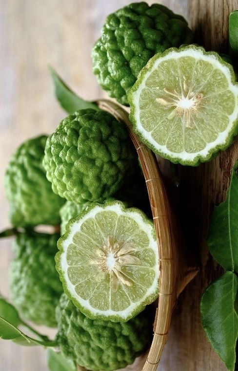 Kaffir Lime / Makrut Lime (Layer) Fruit Plant