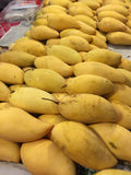 Thailand Mango (Super Queen, Graft) Fruit Plant