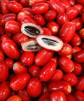 Nance (Red, Seedling) Fruit Plant