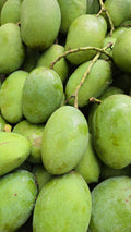 Mango (Kolomb, Graft) Fruit Plant