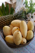 Thailand Mango (Hong Siang Ya, Graft) Fruit Plant