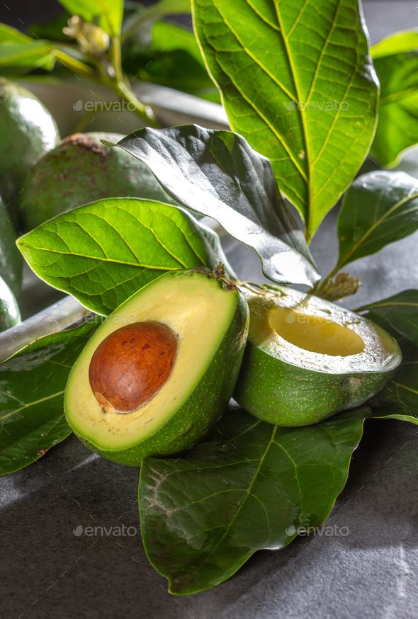 Avocado / Butter Fruit (Wayanad, Graft) Fruit Plant