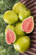 Guava / Perakka (Taiwan Pink, Layer) Fruit Plant