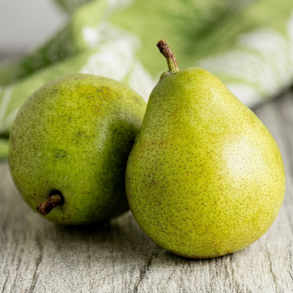 Pear (Sabarjilli) layered live fruit plant in nursery pot with healthy green foliage | Premium fruit plant | Keraleaf