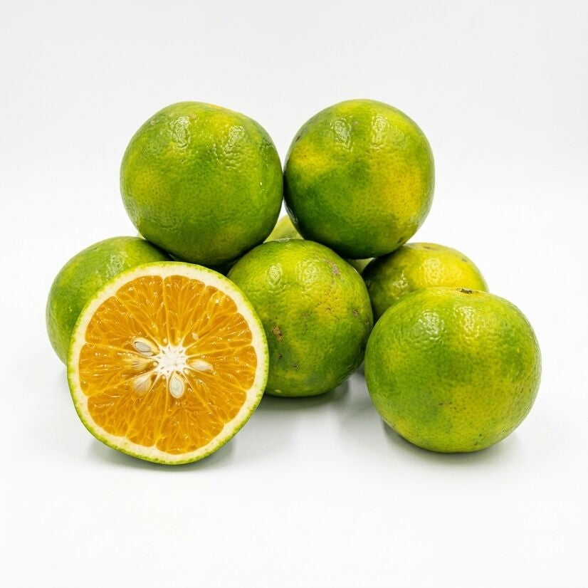 Bush Orange layered live fruit plant in nursery pot with healthy green foliage | Premium citrus fruit plant | Keraleaf
