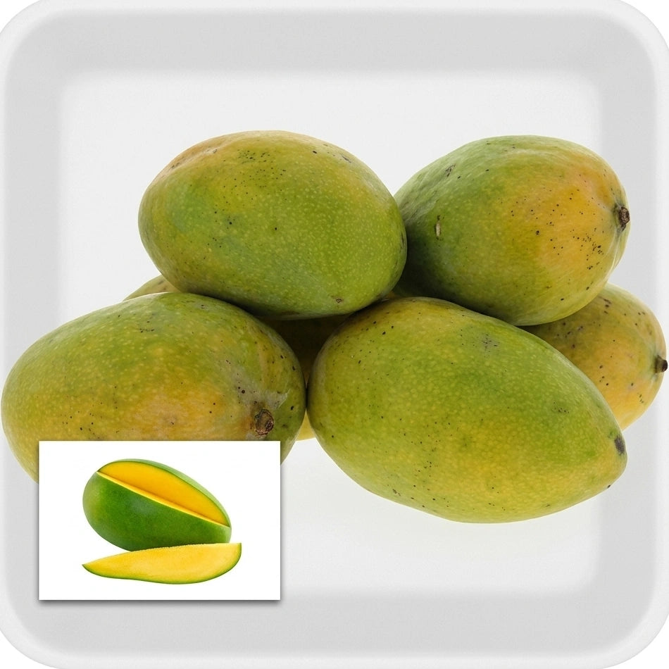 Priyoor Mango strong grafted live fruit plant in nursery pot with healthy green foliage | Premium mango plant | Keraleaf