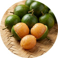 Spanish Lime layered live fruit plant in nursery pot with healthy green foliage | Exotic tropical fruit plant | Keraleaf