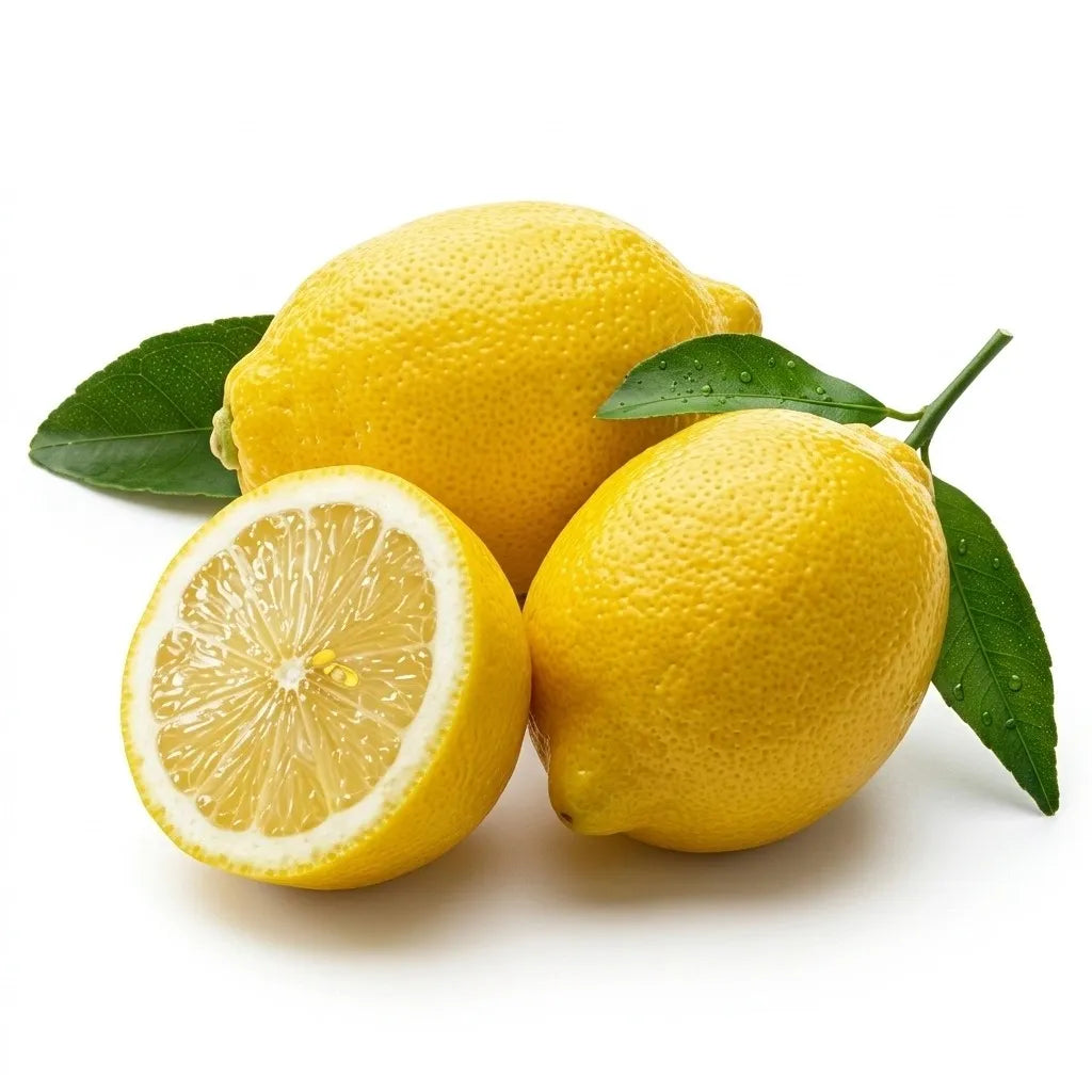 Thailand Big Lemon (Cherunaranga) layered live plant in nursery pot with healthy green foliage | Premium citrus fruit plant | Keraleaf