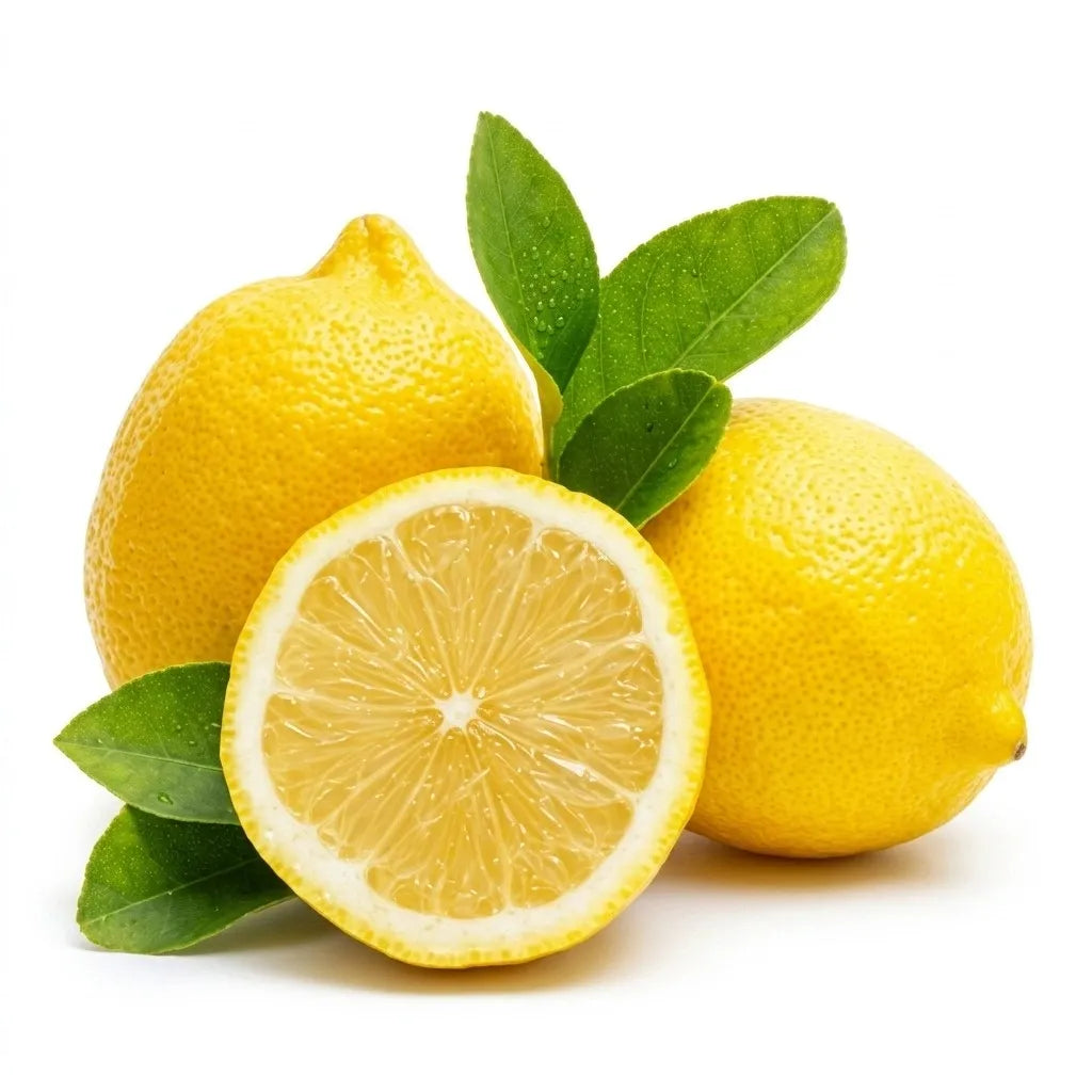 Seedless Lemon (Cherunaranga) layered live fruit plant in nursery pot with healthy green foliage | Premium citrus fruit plant | Keraleaf