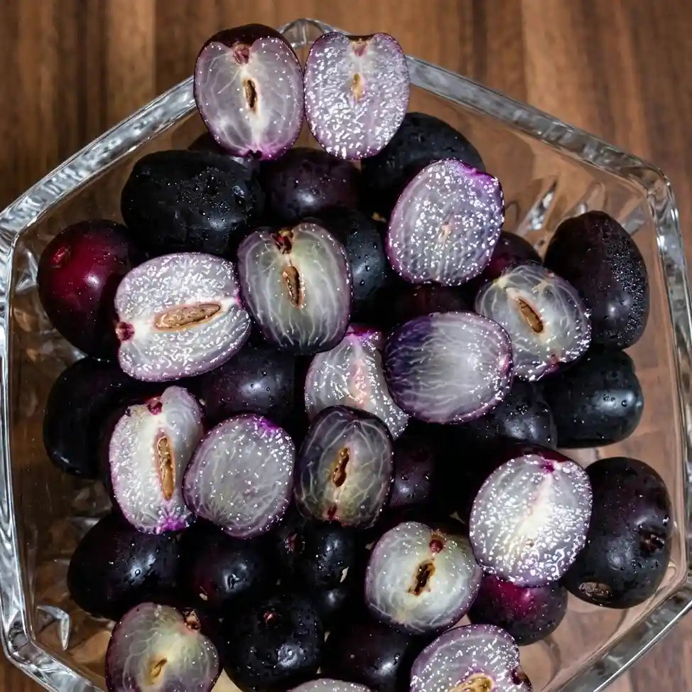 Black Jamun (Njaval Pazham) live fruit plant in nursery pot with healthy green foliage | Premium tropical fruit plant | Keraleaf