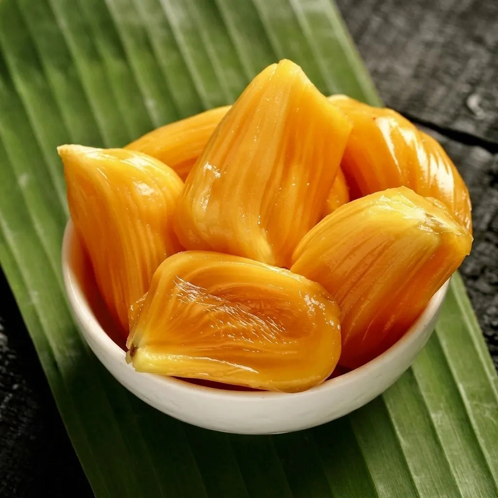 Thenvarikka Honey Jack budded live fruit plant in nursery pot with healthy green foliage | Premium jackfruit plant | Keraleaf