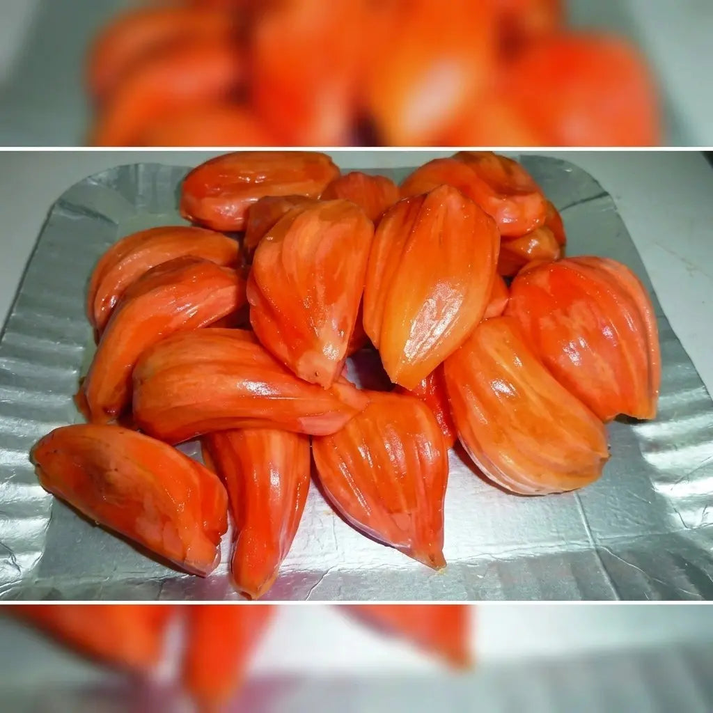 Red Jack (Deang Surya) budded live fruit plant in nursery pot with healthy green foliage | Premium jackfruit plant | Keraleaf