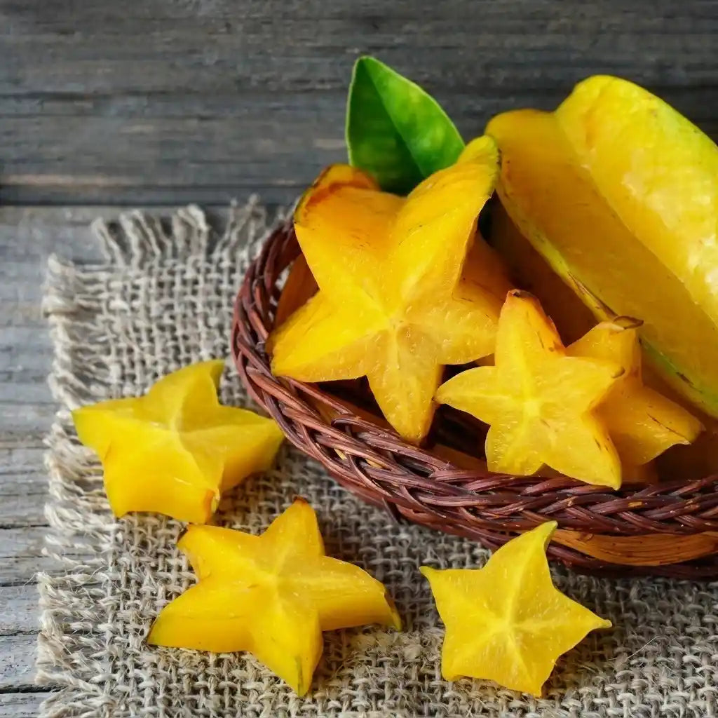 Star Fruit (Kamrak / Carambola) layered live fruit plant in nursery pot with healthy green foliage | Premium tropical fruit plant | Keraleaf