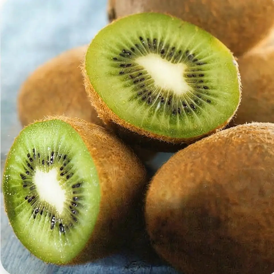 Kiwi layered live fruit plant in nursery pot with healthy green foliage | Exotic tropical fruit plant | Keraleaf