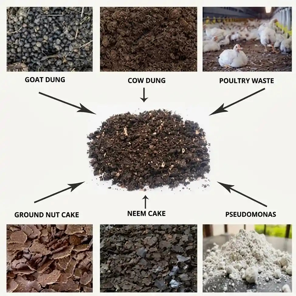Organic Fertilizer Mix for Ayurjack, Vietnam Early Gold and Jackfruit plants | Natural nutrient-rich fertilizer for healthy fruit plant growth | Keraleaf