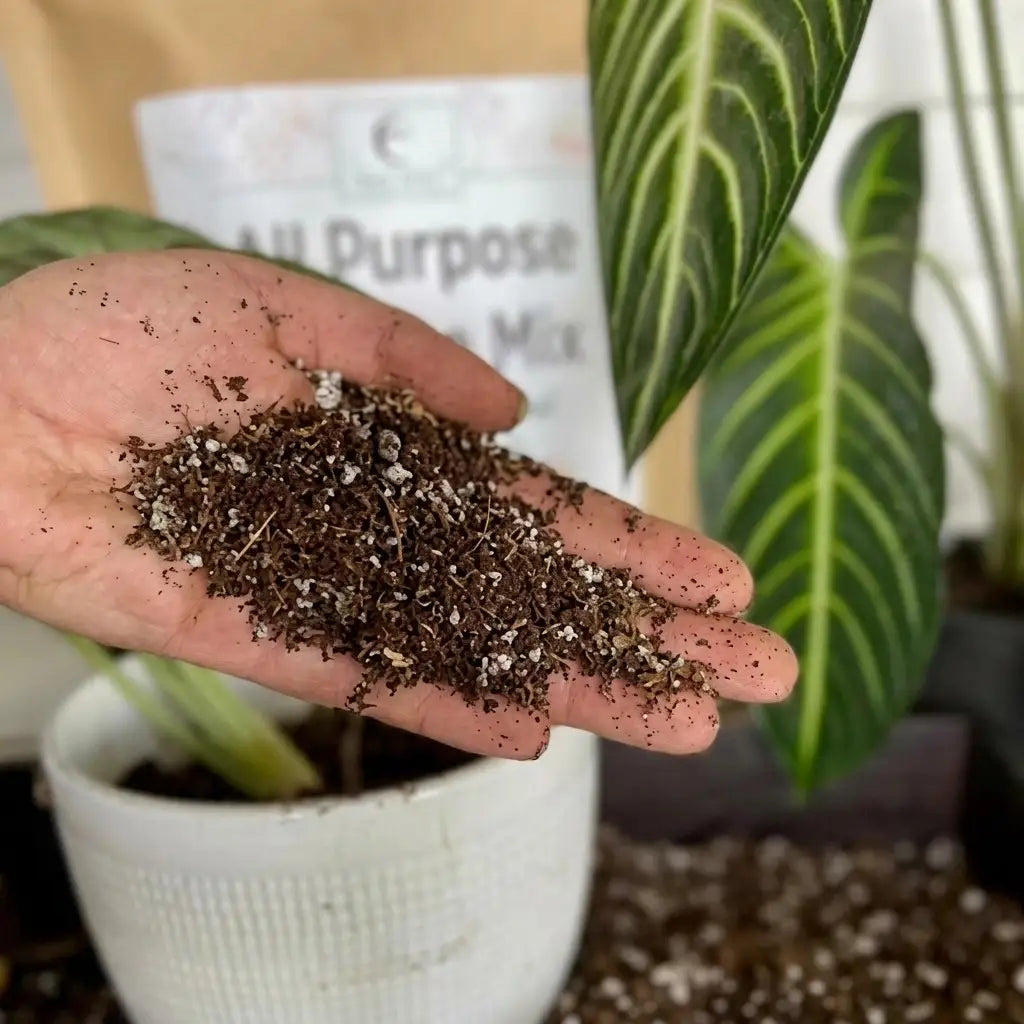 Potting Mix (All Purpose Organic Potting Mix) growth booster for healthy plants | Premium soil mix for indoor and outdoor gardening | Keraleaf