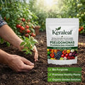 Pseudomonas fluorescens (250 g & 500 g) organic beneficial bacteria for healthy plant growth | Biofertilizer for soil and roots | Keraleaf