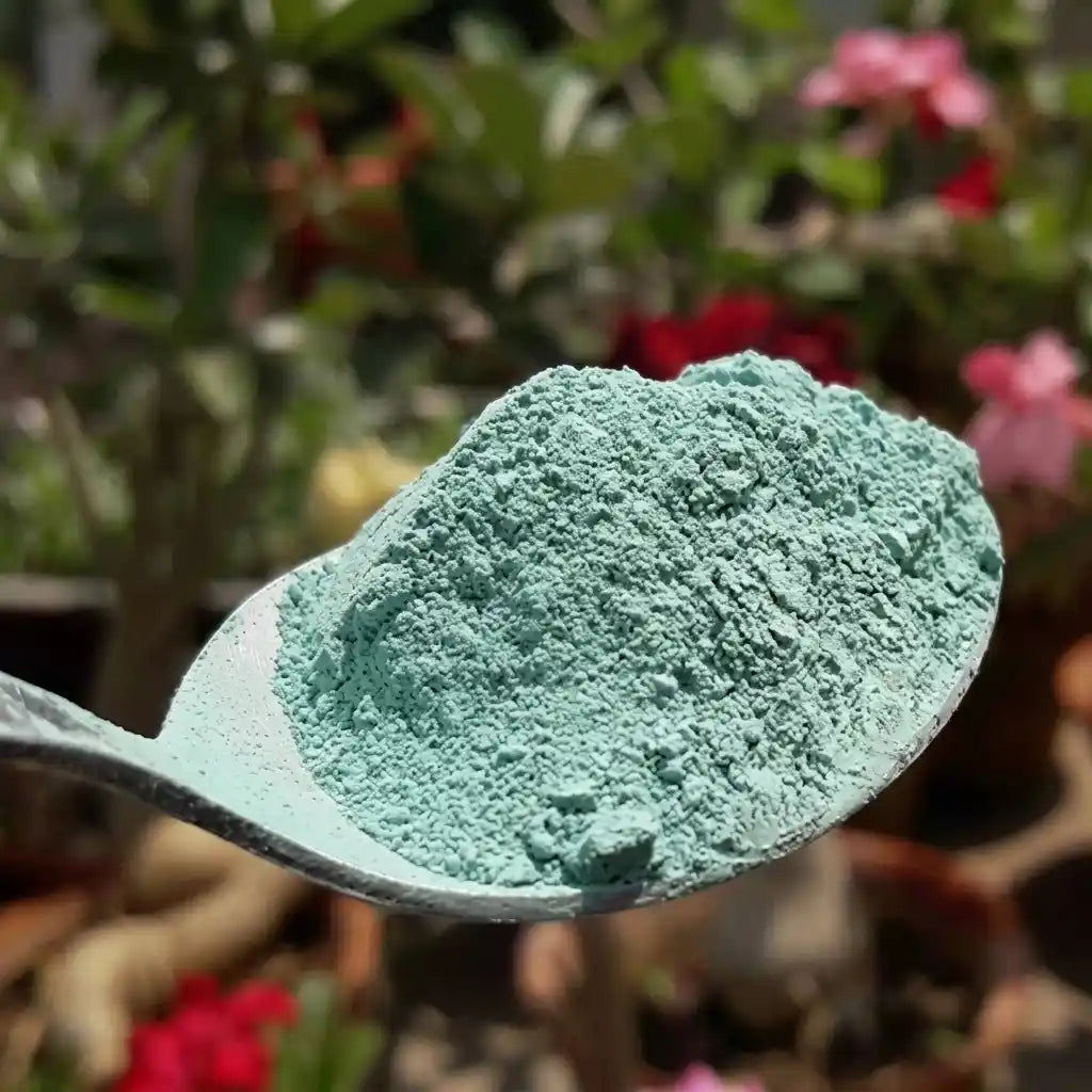 UPL SAAF fungicide for a disease-free garden | Protective fungicide for healthy plants and gardens | Keraleaf