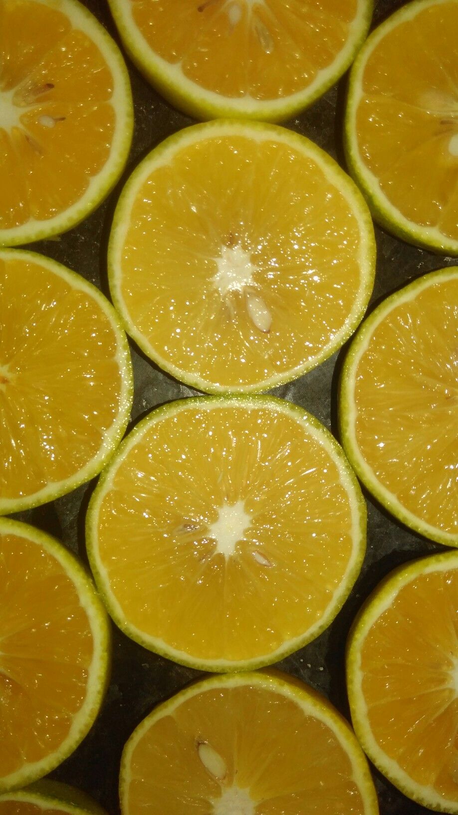 Mosambi (Sweet Lime, Layer) Fruit Plant
