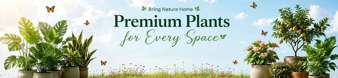 KeraLeaf hero banner featuring indoor plants, exotic fruit plants, Indian fruit plants, and fertilizers for home gardening