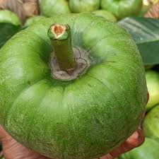 Bor-Thekera (Seedling) Fruit Plant