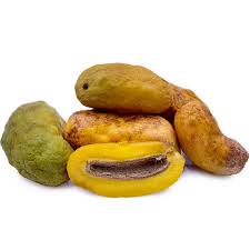 Olosapo (Seedling) Fruit Plant