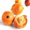Udara / African Star Apple Fruit Plant