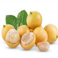 Mafai (Seedling) Fruit Plant