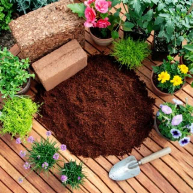 Premium organic coco peat made from natural coconut husks for healthy plant growth and soil improvement