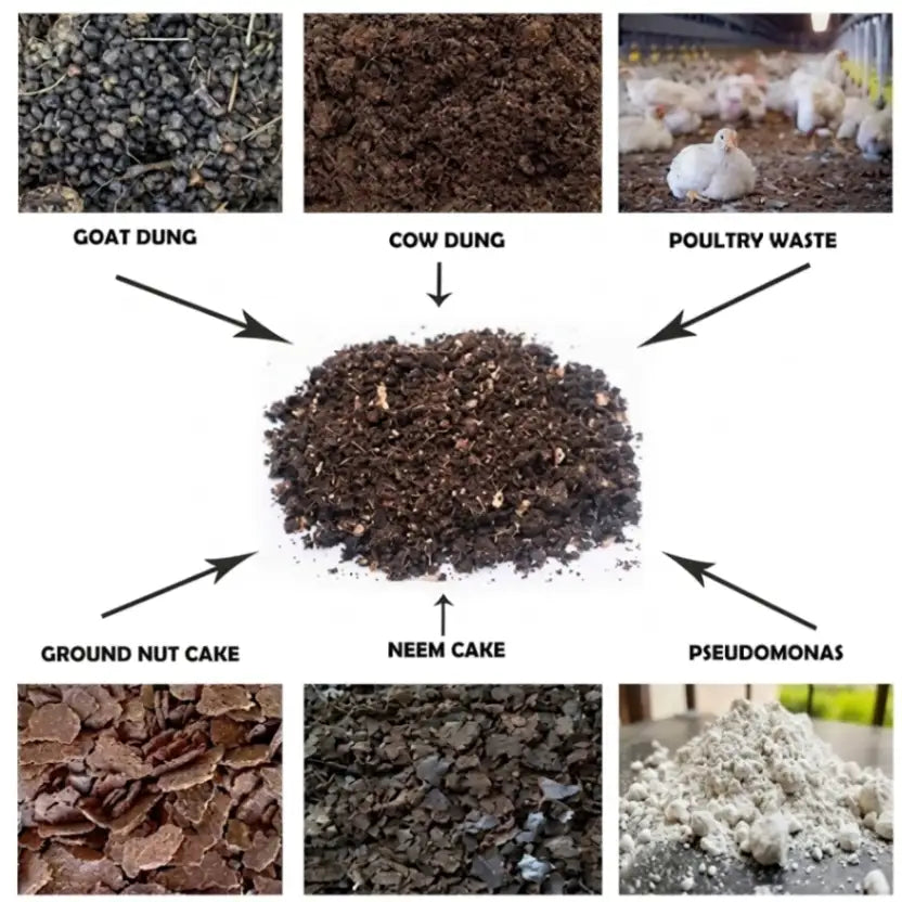 Best organic fertilizer mix with cow dung, wood ash, bone meal, Pseudomonas, groundnut cake, and neem cake for healthy plant growth