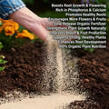 Organic bone meal fertilizer powder for stronger roots, healthy plant growth, and abundant flowering