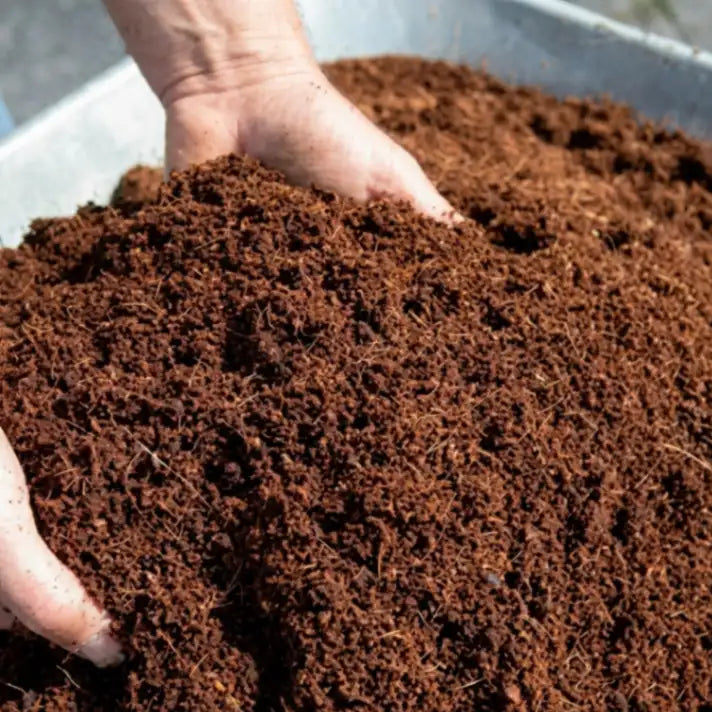 Loose cocopeat growing medium for soil replacement, moisture retention, and healthy root development
