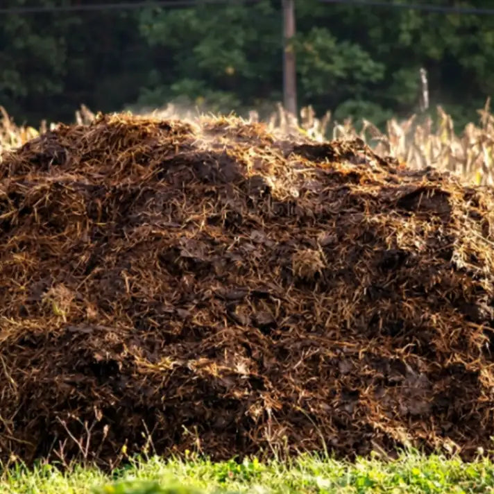 Organic desi cow dung manure fertilizer for healthy plant growth, improved soil fertility, and strong root development