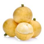 Lotkon / Mafai-Farang (Seedling) Fruit Plant