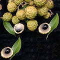 Alupag (Bud) Fruit Plant